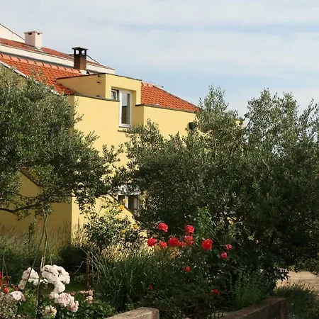 Apartment Maslina Zadar