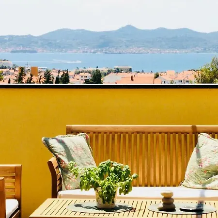 Maslina * Zadar